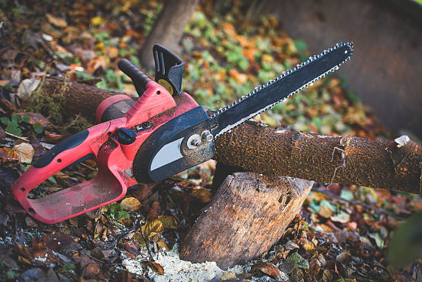 Best Soil Testing and Treatment  in Ruston, WA